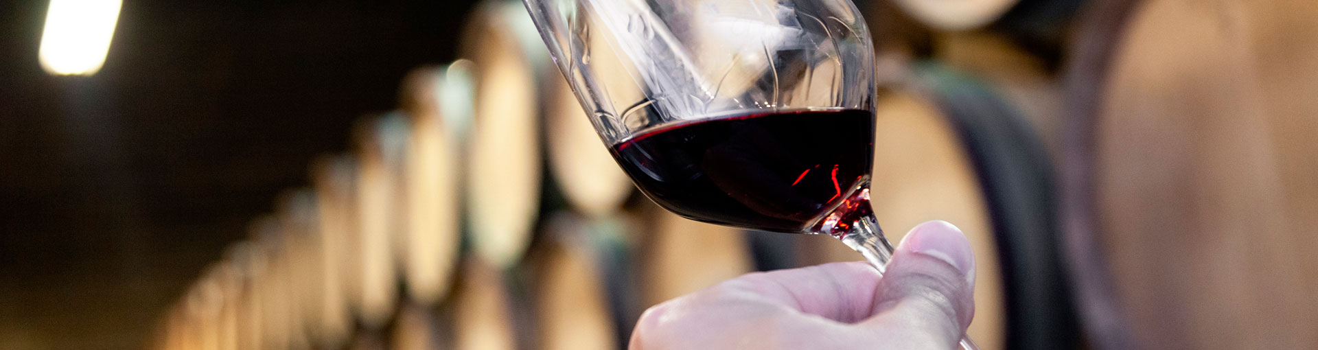 cata-vino-maridaje-curso