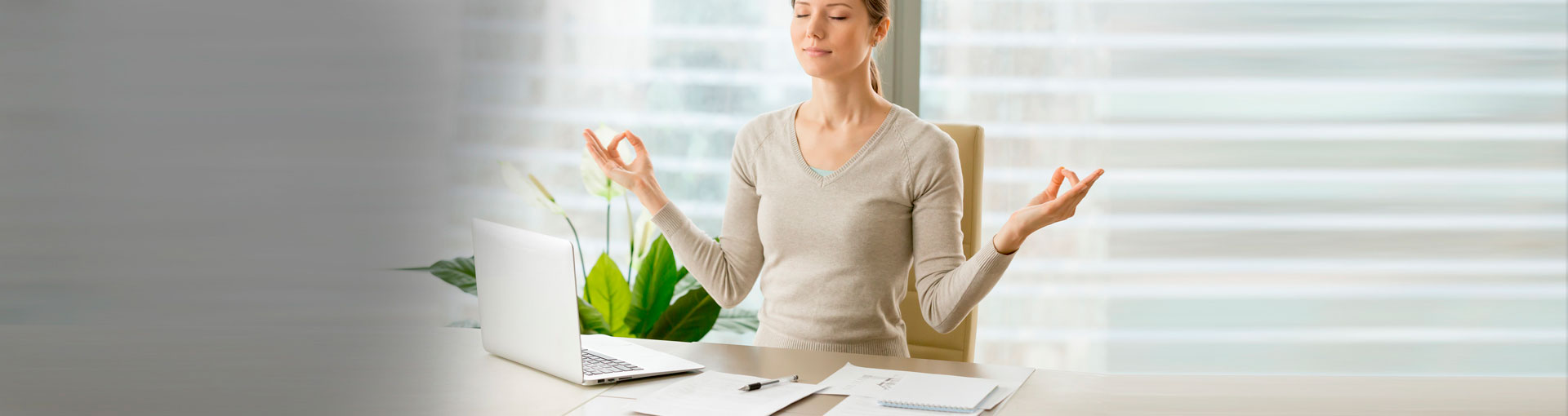 mindfulness-nivel-superior